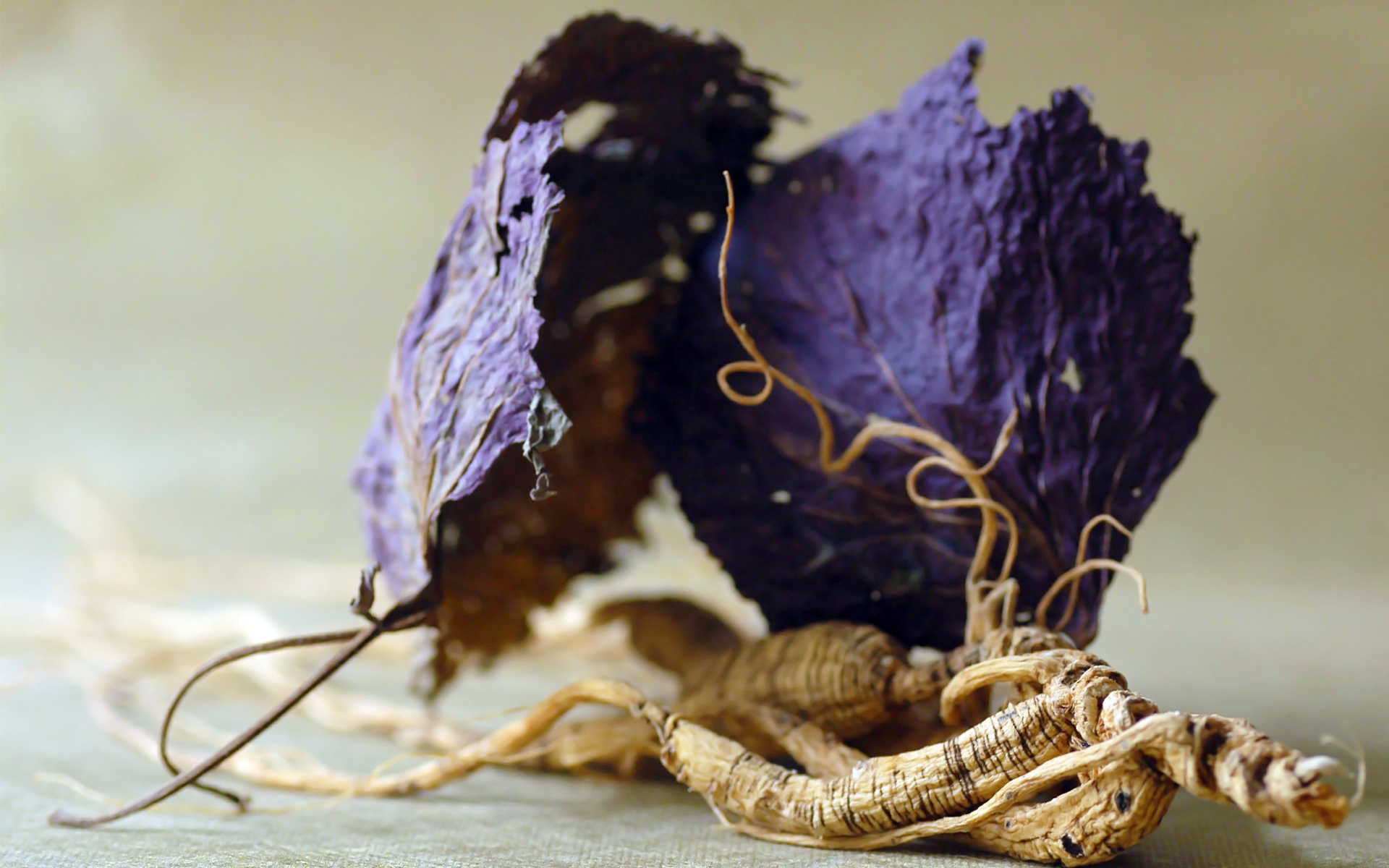 Chinesische Arzneimittel